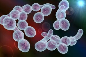 causative Agent vu bakterieller Prostatitis bei Männer